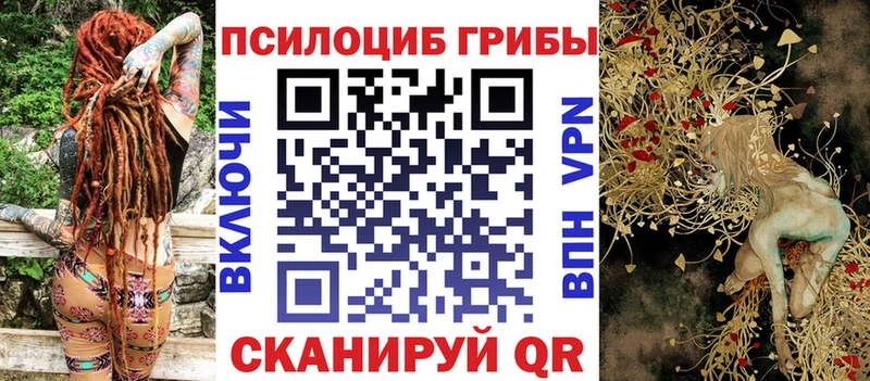 Галлюциногенные грибы прущие грибы  как найти наркотики  Аркадак 