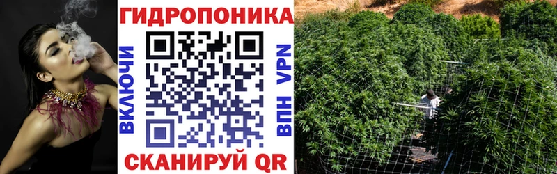 Каннабис VHQ  купить наркотики цена  Аркадак 
